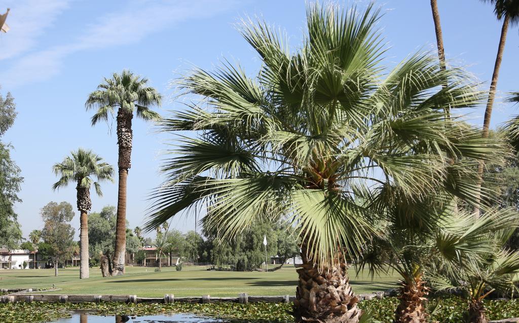 Barbara Worth Golf Resort Holtville Buitenkant foto